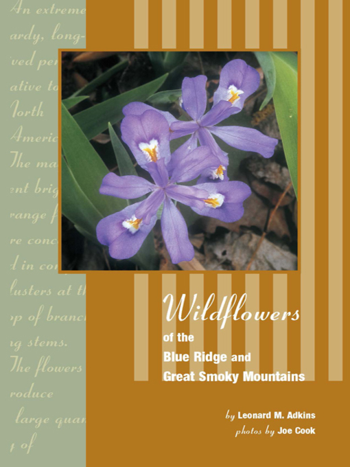 Title details for Wildflowers of Blue Ridge and Great Smoky Mountains by Leonard Adkins - Wait list
